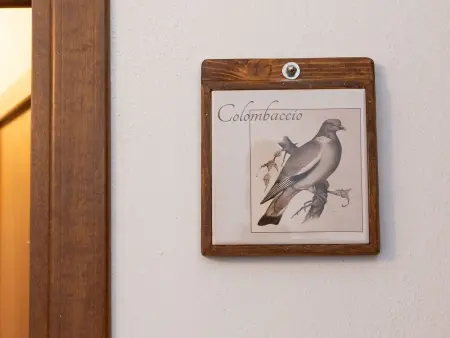 Casa Milla - Zwei-Zimmer-Wohnung Colombaccio, Appartement 4 personnes à Cecina - Photo 16