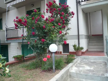Wohnung mit Garten, Grill und Terrasse, Appartement 6 personnes à Castiglioncello - Photo 1