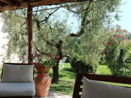 Campo del Rosario, Maison 5 personnes à Montescudaio - Photo 6