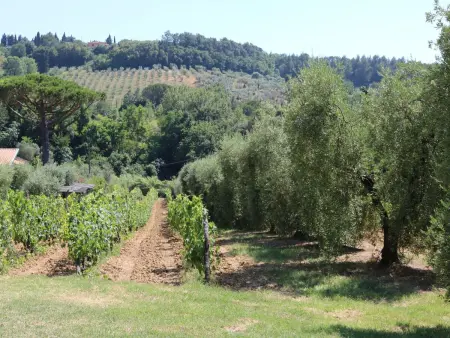 Campo del Rosario, Maison 5 personnes à Montescudaio - Photo 20