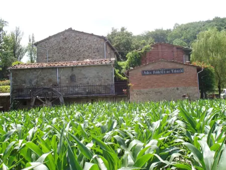 Landgut  La Tabaccaia  mit eigenem Garten und Grill - Photo 10