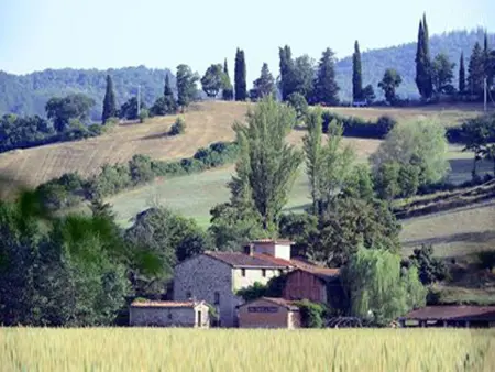 Landgut  La Tabaccaia  mit eigenem Garten und Grill - Photo 19