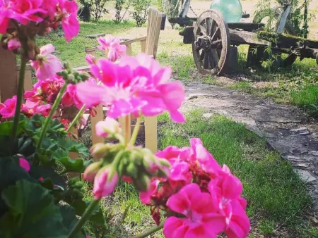 Landgut  La Tabaccaia  mit eigenem Garten und Grill - Photo 25