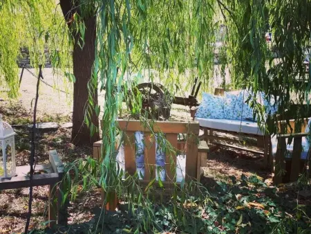 Landgut  La Tabaccaia  mit eigenem Garten und Grill - Photo 43