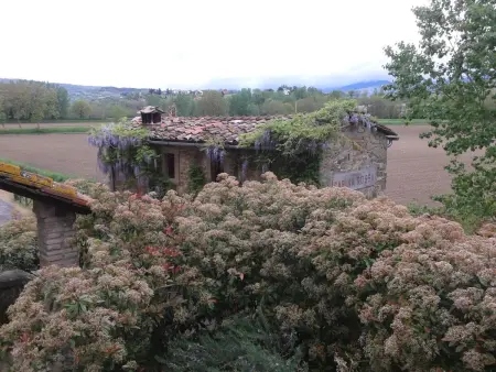Landgut  Il Molino  mit Terrasse und Garten, Appartement 2 personnes à Poppi - Photo 17