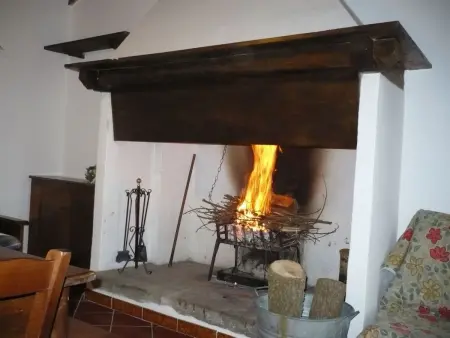 Rotreiher-Urlaub am Trasimeno-See, Appartement 2 personnes à Castiglione del Lago - Photo 4