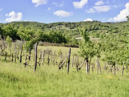Ferienvilla 'La Speranza' mit privatem Garten, Maison 6 personnes à Città di Castello - Photo 21
