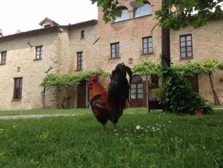 Altes Kloster und eleganter Landsitz, Maison 25 personnes à Città di Castello - Photo 7