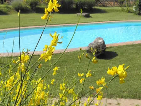 Gesamte Struktur, Maison 50 personnes à Monteleone d'Orvieto - Photo 3
