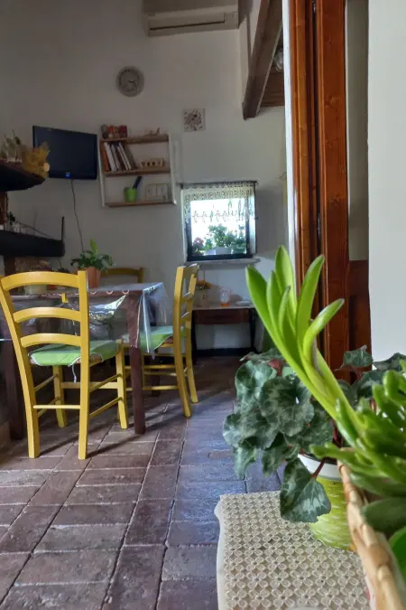 Zwei-Zimmer-Wohnung inmitten der Natur, Appartement 2 personnes à Vacone - Photo 7