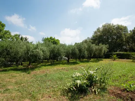 Oleandri Ferienhaus mit privatem Pool, Maison 4 personnes à Nettuno - Photo 41