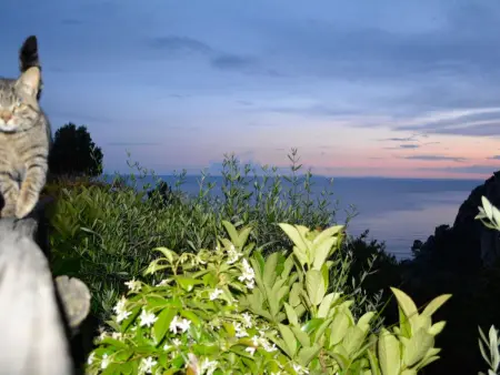 mit Garten, Grill und Terrasse, Maison 4 personnes à Sperlonga - Photo 15