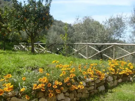 Studio  mit Blick auf den Golf von Neapel, Appartement 2 personnes à Colli Fontanelle - Photo 8