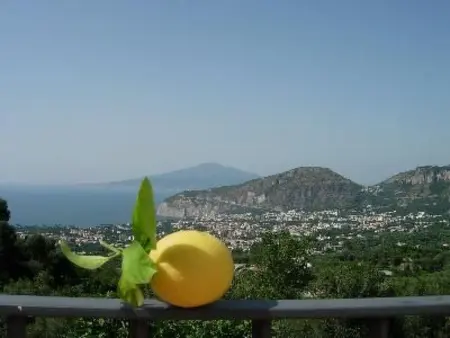Wohnung mit Panoramaterrasse, Appartement 4 personnes à Colli Fontanelle - Photo 1