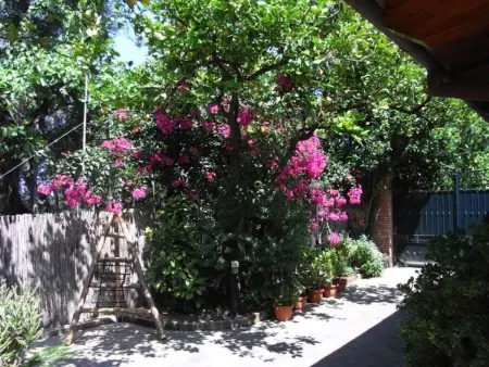 Appartamento  GIGLIO, Appartement 4 personnes à Sorrento - Photo 16