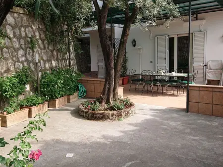 Villa l'Ulivina - Entspannung Garten Sonnenterrasse - Photo 25