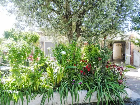 Das Landhaus von Kleopatra und Marcantonio, Appartement 4 personnes à Massa Lubrense - Photo 4