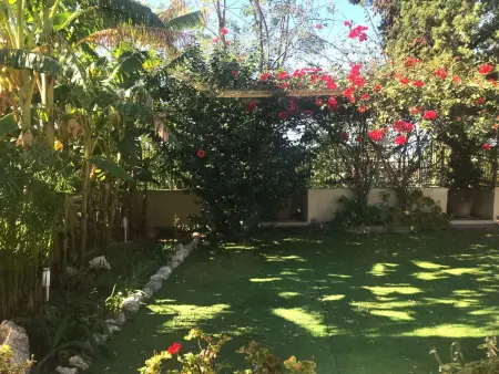 Ferienvilla mit Wasserblick, Maison 8 personnes à Amantea - Photo 2