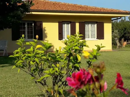 Villa im Grünen mit Schwimmbad und Meerblick, Maison 4 personnes à Capo Vaticano - Photo 9