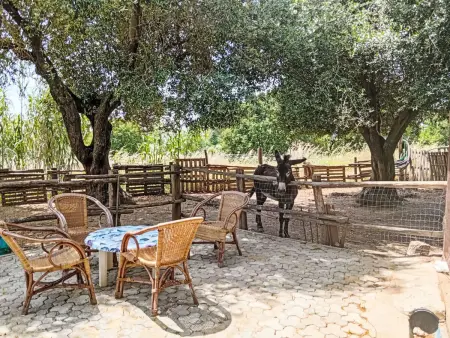 Residenz Heaven 41R, Appartement 4 personnes à Capo Vaticano - Photo 5