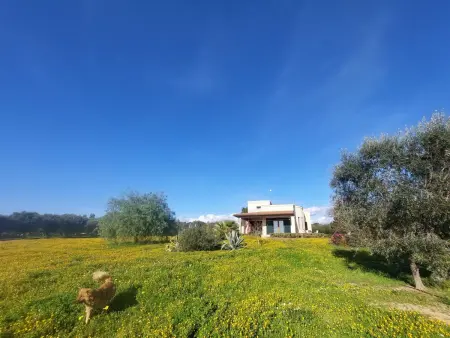 Villa Lona, Maison 6 personnes à Manduria - Photo 33
