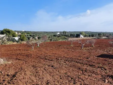 Villa Lona, Maison 6 personnes à Manduria - Photo 40