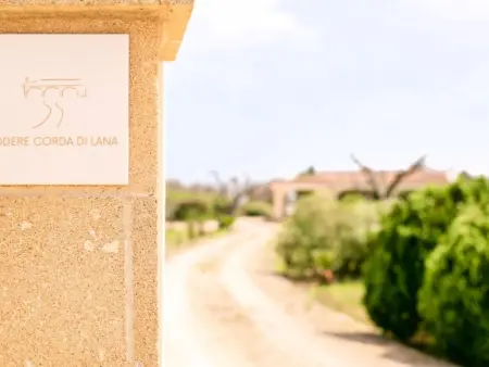 VILLA MIT POOL - PODERE CORDA DI LANA, Maison 4 personnes à Leverano - Photo 20