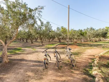 Trullo für Ferien in Apulien, Maison 5 personnes à San Michele Salentino - Photo 60