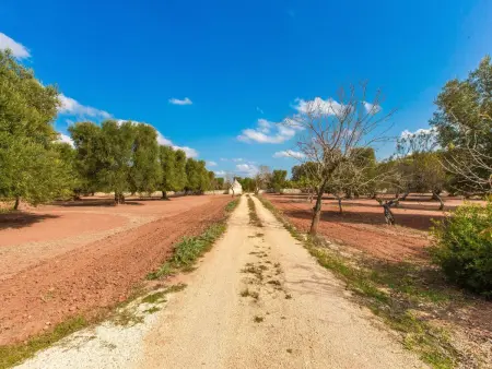 TRULLO  mit pool OSTUNI: Kostenlos: Bettwäsche und Handtücher, 2 Fahrräder, 1 H - Photo 41