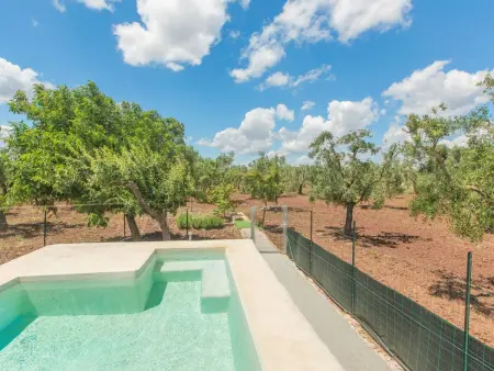 Trullo die Riesenpappel, Maison 5 personnes à San Michele Salentino - Photo 29