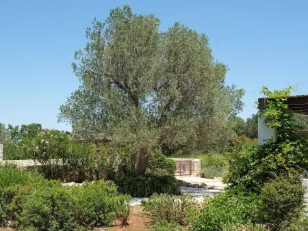 mit Privatpool an der Adriaküste, Maison 11 personnes à Ostuni - Photo 46