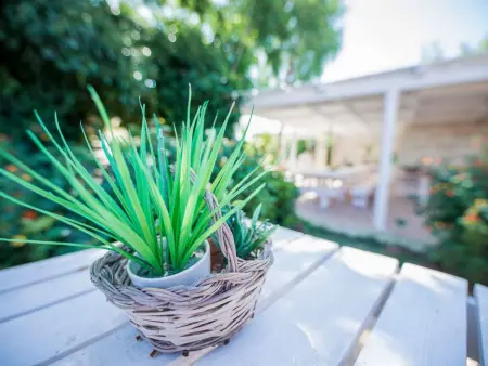 Casal del Borgo 6, Appartement 4 personnes à Ostuni - Photo 16