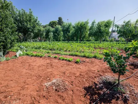 Casal del Borgo 6, Appartement 4 personnes à Ostuni - Photo 26