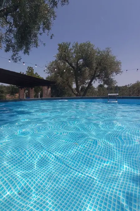 Villa Valle degli Ulivi, Appartement 4 personnes à Ostuni - Photo 3
