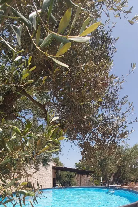 Villa Valle degli Ulivi, Appartement 4 personnes à Ostuni - Photo 4