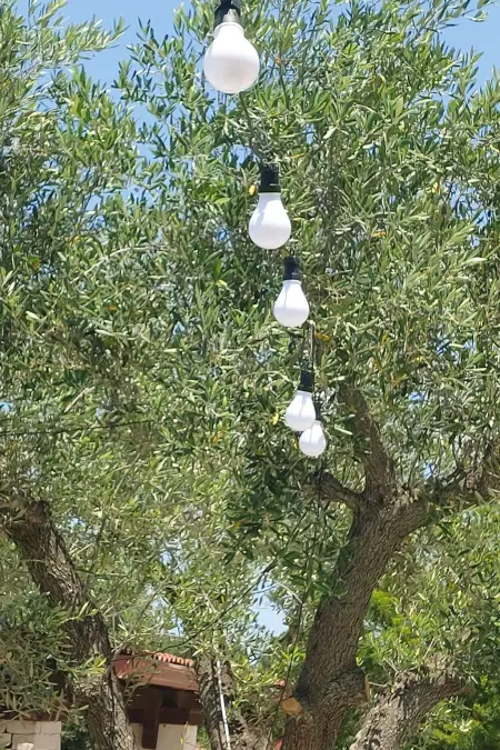 Villa Valle degli Ulivi, Appartement 4 personnes à Ostuni - Photo 11