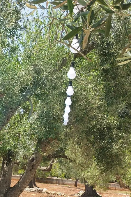 Villa Valle degli Ulivi, Appartement 4 personnes à Ostuni - Photo 12