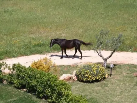 Antike Villa mit privatem Pool, Spa und türkischem Bad - Photo 51