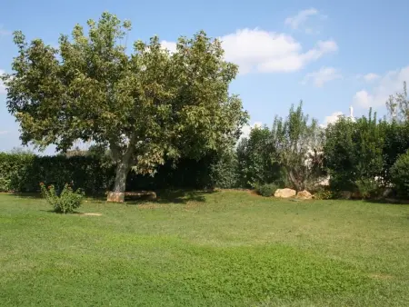Landhaus in Ostuni mit privatem Pool, Maison 5 personnes à Ostuni - Photo 8