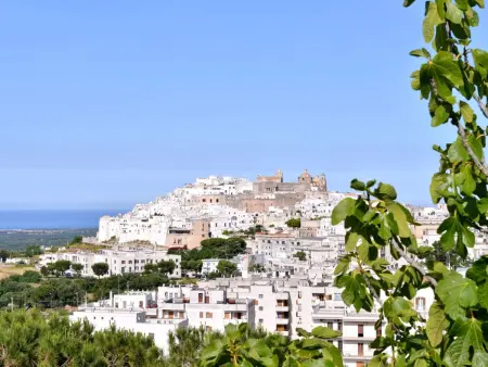 Villa Zeus - piscina panoramica - vista WOW!, Maison 4 personnes à Ostuni - Photo 13