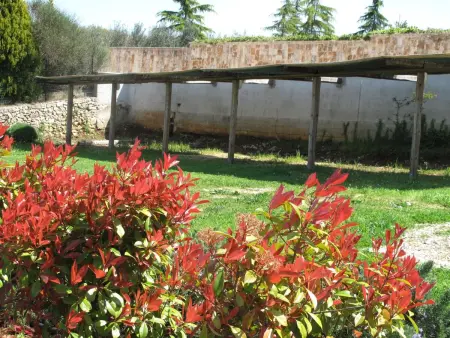 Neue fantastische Casa degli Ulivi privaten Pool - Photo 16