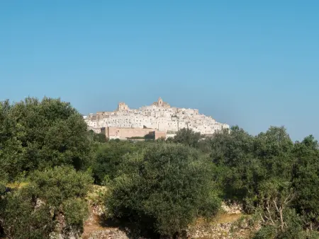Wunderschönes Ferienhaus in Martina Franca, Maison 2 personnes à Martina Franca - Photo 30