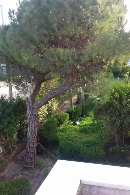 Villa Alma Wohnung in Villa, Maison 6 personnes à Bari - Photo 38