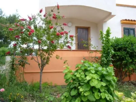 Carla für 4 Personen, Appartement 4 personnes à Vieste - Photo 8