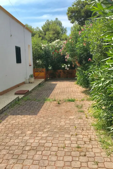Carla für 4 Personen, Appartement 4 personnes à Vieste - Photo 18