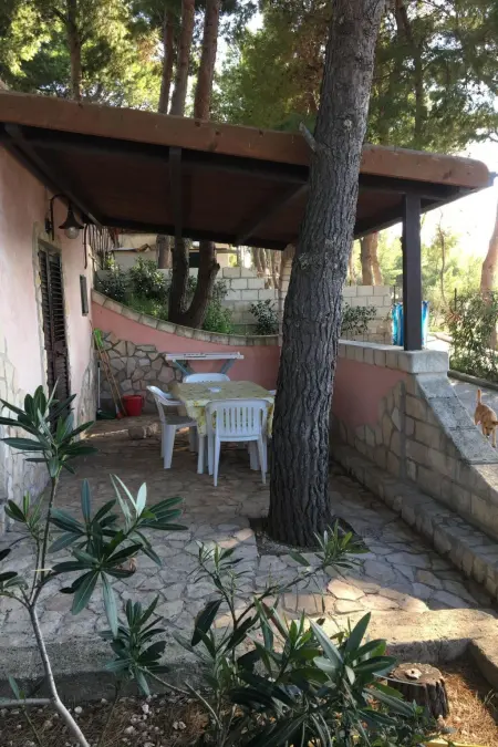 Freistehendes Haus, Appartement 4 personnes à Vieste - Photo 10
