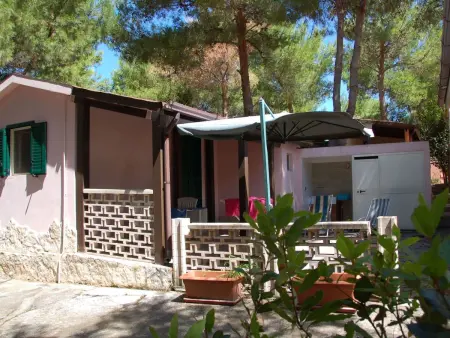 Orchideen-Ferienwohnung mit überdachter Veranda - Photo 14