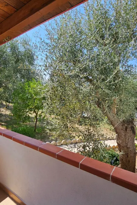 Freistehendes Zwei-Zimmer-Haus, Appartement 2 personnes à Peschici - Photo 52