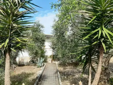 mit Garten und Kinderschwimmbad, Maison 5 personnes à Peschici - Photo 38