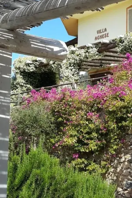 Agnese, Appartement 5 personnes à Badesi - Photo 25